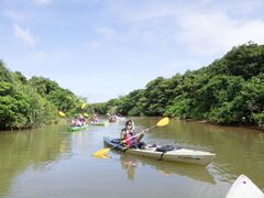 ܂[̂΂鎩Rmւ̓eʐ^1