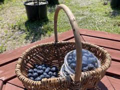 ͂邩̂t[ct@[ւ̓eʐ^1