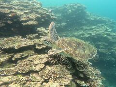 nWT[rXSHISHIΊ_ւ̓eʐ^1