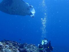 ̏SҐXNEOMARINEΊ_ւ̓eʐ^1