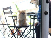 ~`MALIBU COFFEE }uR[q[̓eʐ^8