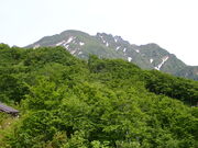 }[`̔CR[vEF[ECRW]̓eʐ^1