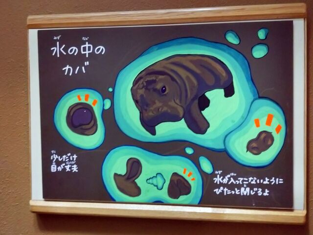 �����̃J�o_���R������