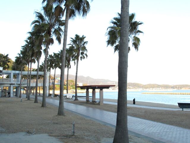 ₵̖؂̕؁Fď͉tx`肪B_{C