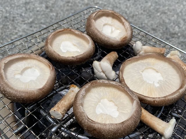 �ō��̂��������o�[�x�L���[�ł����I_���c���񂿂̒ő�