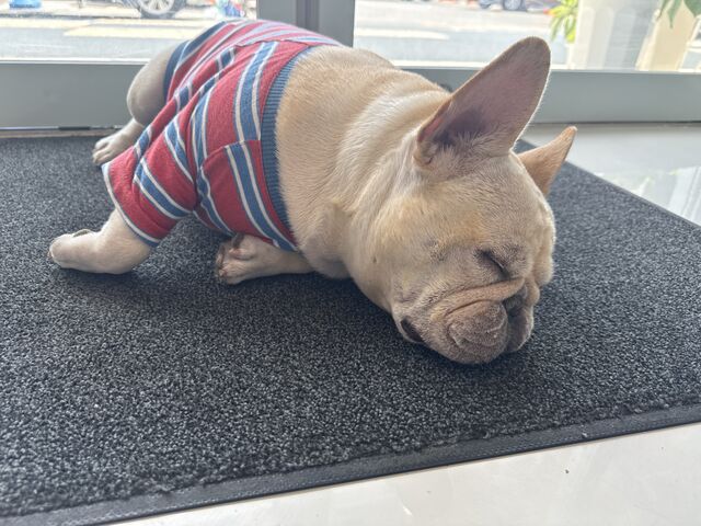 �l�������������Ŕ��ł��B_�����鉮 kukuru_ya