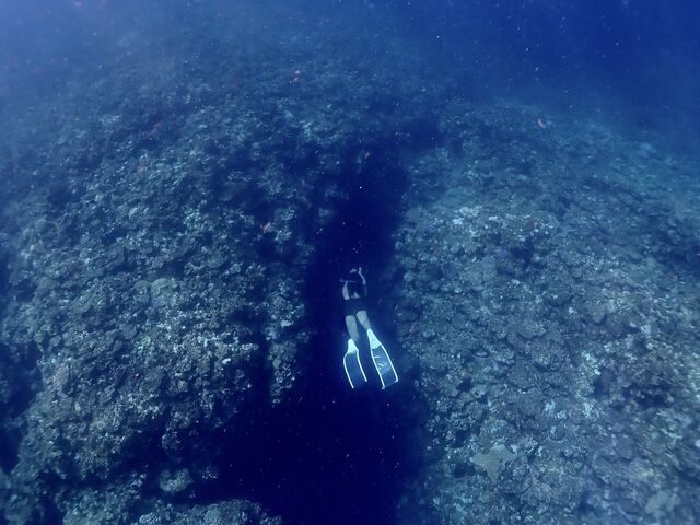 �n�`_Kahoo_ishigaki