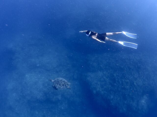 �E�~�K����_Kahoo_ishigaki