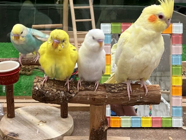 yĂƂԂ̎ԂłB܂sł_Xm{ Ђ