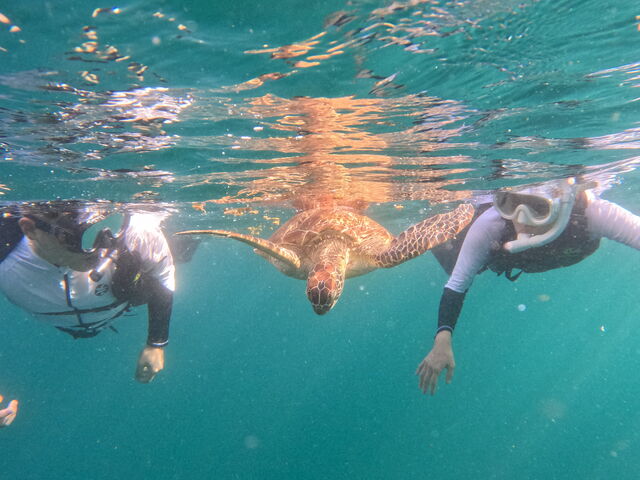 ���݂��߂ƈꏏ�ɉj���čō��ɍK���ł����I�I_Tomorl