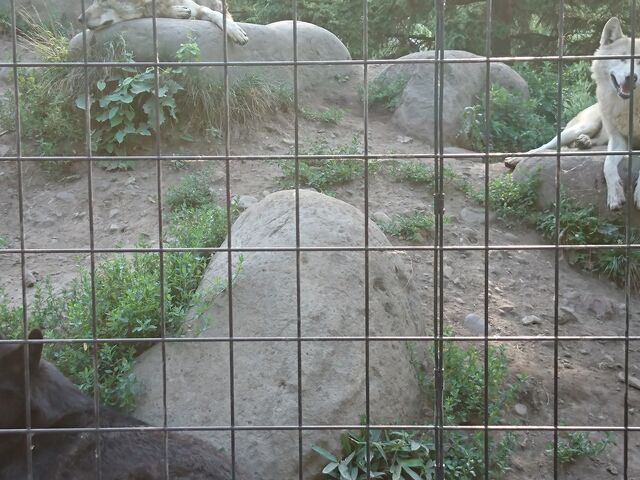 ���R������