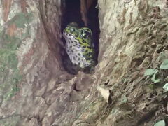 ܂̊όlbg[Nւ̓eʐ^1