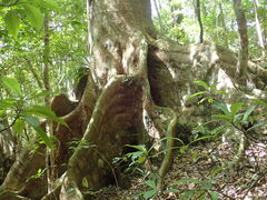 ��܂���̊ό��l�b�g���[�N�����ւ̓��e�ʐ^2