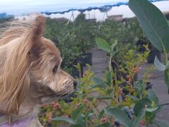 ܂コ̃u[x[Vg̕΂ւ̓eʐ^2