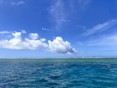 ̌cǊ(P})C攼cA[X@OPGւ̓eʐ^1