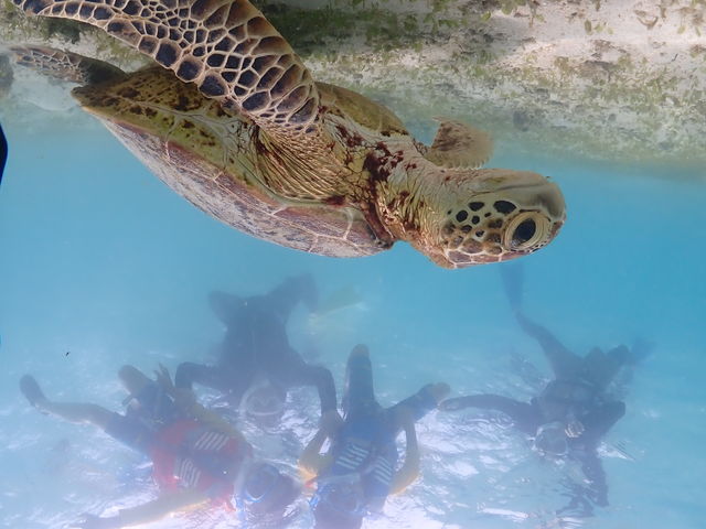 �E�~�K��_CHAMP TOUR �{�Ó�