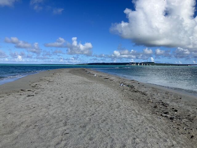 ���j�̕l_�}�����K�C�h�C��(����Ԃ�)