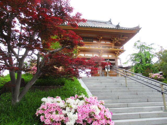 m~WƃccW̑N₩Ƒ܂ĔmB_m