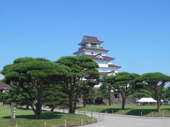 �g�V���[����̎ᏼ��V��t�ւ̓��e�ʐ^1