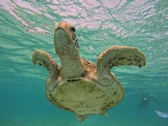 Ƃ܂肿񂳂nico {Óւ̓eʐ^1