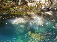 hinanő{ÃAEghAZ^[ւ̓eʐ^1