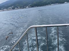 nN̓̉w ɓ}^Eւ̓eʐ^1