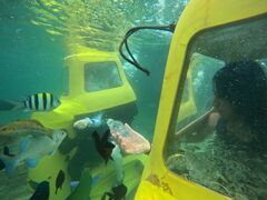 ݁[񂳂̎vo̔ Cւ̓eʐ^1