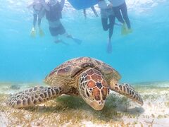 ߂͂̋{Ó} GB QUESTւ̓eʐ^1