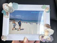 �̂�݂䂳��́u���`����v�ɓ����c�̃A�E�g�h�A�E���R�̌��ē����ւ̓��e�ʐ^2