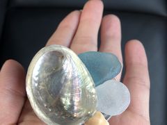 �̂�݂䂳��́u���`����v�ɓ����c�̃A�E�g�h�A�E���R�̌��ē����ւ̓��e�ʐ^3