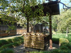 �g�V���[����̍O���ٌ����ւ̓��e�ʐ^1