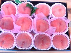 nemochyû܂邹ʎւ̓eʐ^3