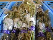 񂳂̓̉wu˕ijv̓eʐ^3