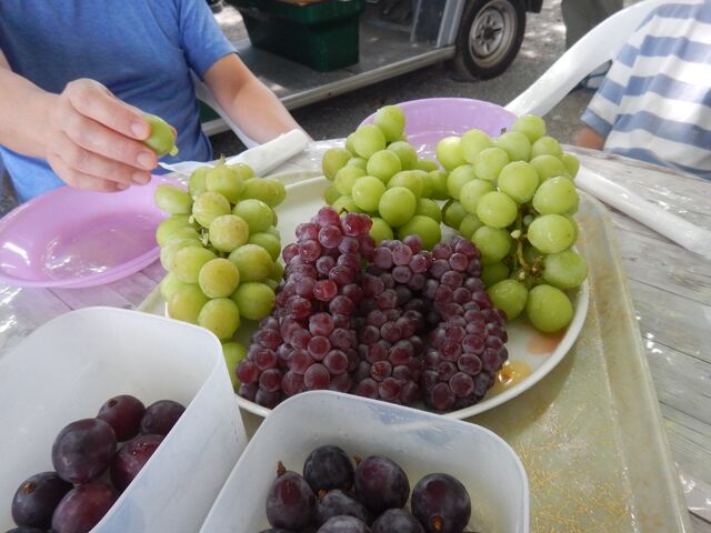 HוMځBSHא؂Ă炨肪ł܂B_O[vK[fS_