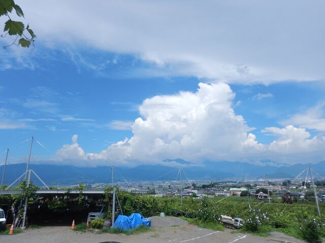 ɂ̂Ŕ_̒߂ǂłB_O[vK[fS_