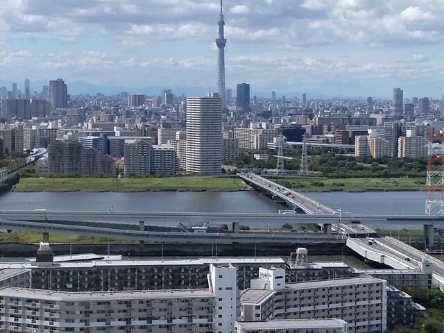 �X�J�C�c���[������܂���_�D�x�^���[