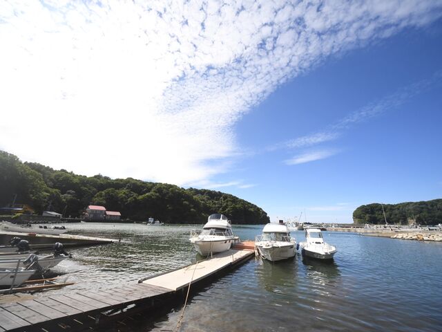 �����ł����I_�̓��A�N���[�Y�@������냊�]�[�g