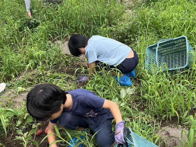 ���Ⴊ�����ق�_���R�͔|�������`�_��