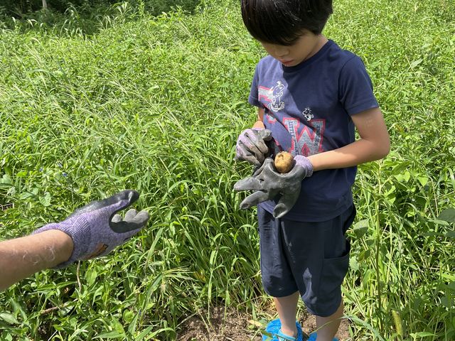 ���Ⴊ�����ق�_���R�͔|�������`�_��