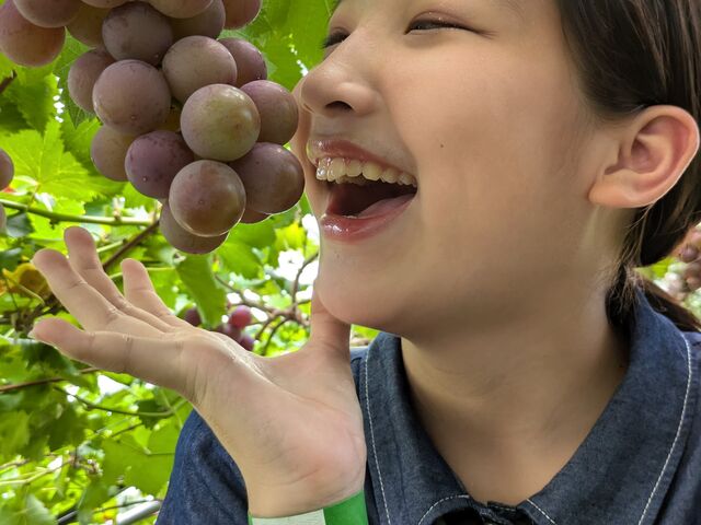 ����傫��_�M�����ʎ���