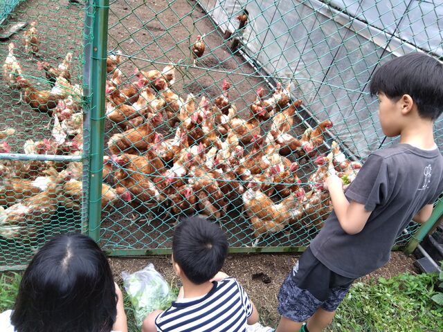 ���˂��т�������܂ł̊ԂɌ{�̃G�T���̌��������Ă��炢�܂���_���������܂��_�� -�|�j�[����M��j���g���Ƃӂꂠ����R�̂��܂�������̃X�C�[�c�X-