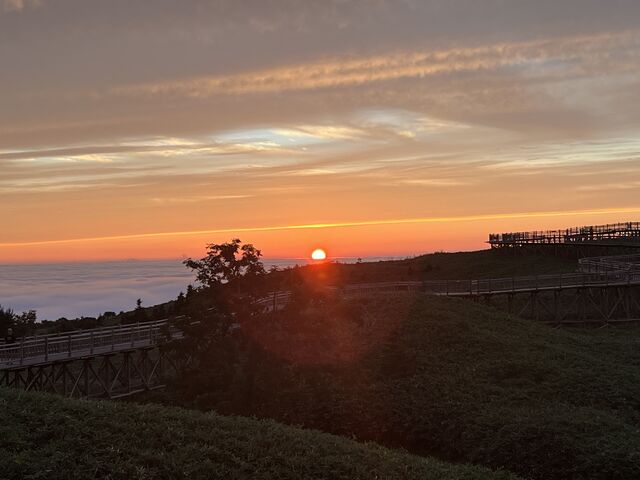 �����̍��˓�����_�C�ɒ��ޗ[�z�����鎖���ł��܂����B�[�Ă��ɏƂ炳�ꂽ�m���A�R���ǂ������ł��B_�m�����R�̌��v���O�������̎���