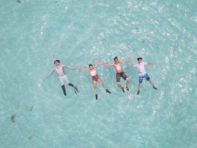 �h���[���B�e�B�C�߂������Y��ł��I_�ɗǕ����c�A�[�@�}�J�i