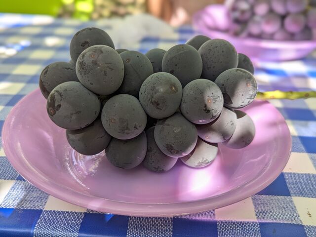 �Â���������_������