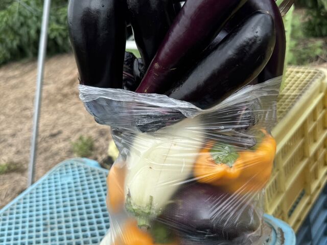 �܂���͂ݏo�Ă��Ă��A����Ă����OK(*^^*)_�{�c�_��