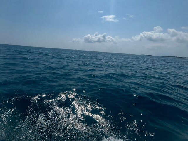 300���[�g���͍j�������Ȃ����炢�����ł�_�}�����A�C�����h