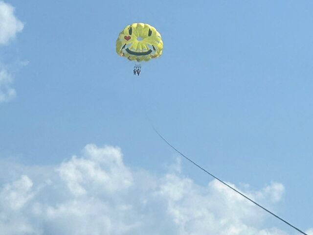 ���C�݂̊C���Y��ł���_�}�����A�C�����h