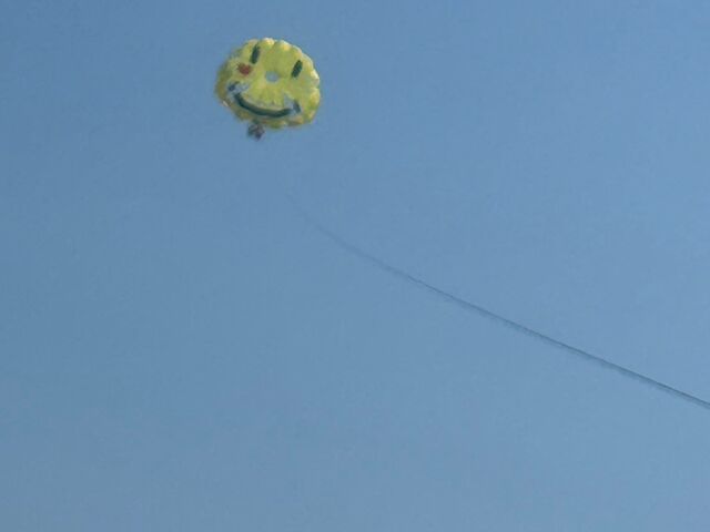 �D���ƂĂ������������܂����B_�}�����A�C�����h