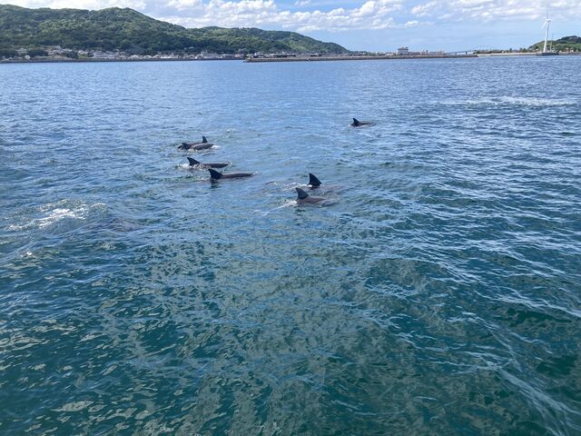 쐶̂邩IXƉjpԋ߂Ō鎖ł܂B_CJEHb`Ot\Z^[