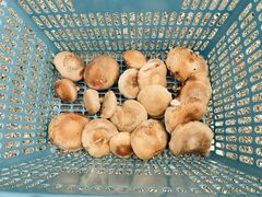 eBq̂t@[rbWւ̓eʐ^1